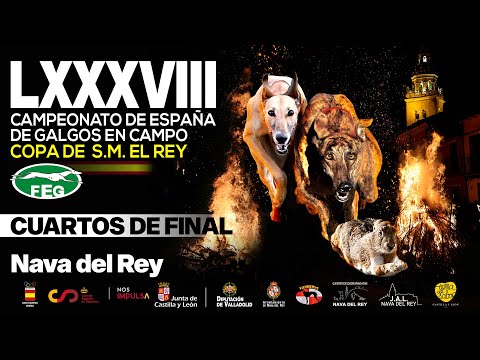 Cuartos de Final   LXXXVIII  Campeonato de España Galgos en Campo     COPA DE S,M, EL REY