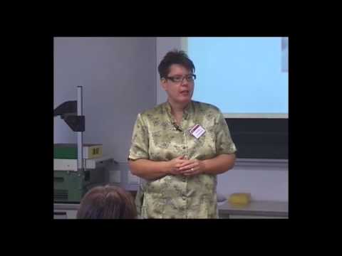 Reizdarmsyndrom und 5 Elemente Ernährung