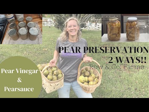 2 WAYS TO PRESERVE PEARS