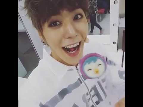 Beagle-stagram JJCC's Simba #Fire CB The Show BTS