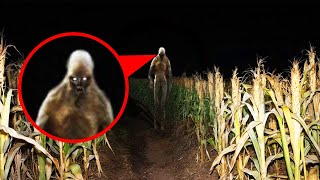 Download lagu 15 Scary Videos That Should’ve Stayed Hidden mp3