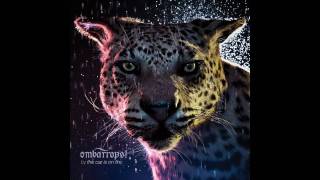 The Car Is On Fire - We're Doing Fine, Minerva