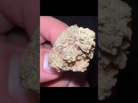 Curaleaf Banana Puddintain #11