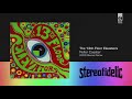 The 13th Floor Elevators - Roller Coaster [2020 Remix]