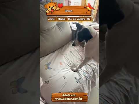 Vídeo de Bento 