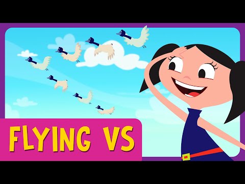 🟠 FLYING VS - Full Episode l Earth To Luna!