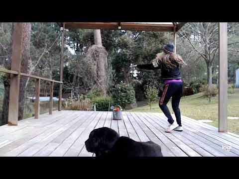 🐒 Arba Onot | ארבע עונות