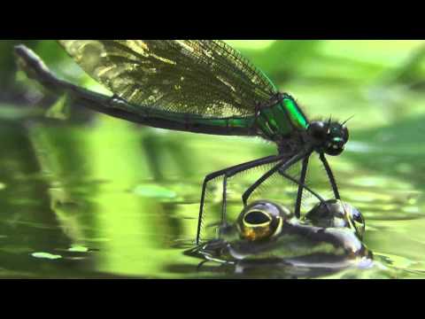 Martyna Marilyn Rosa .....czytaj opis bo to Tobie są i będą dedykowane te filmy