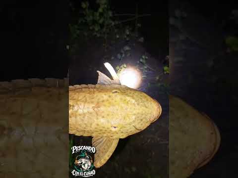 PESCANDO en el RIO SAN FRANCISCO Yuto Jujuy