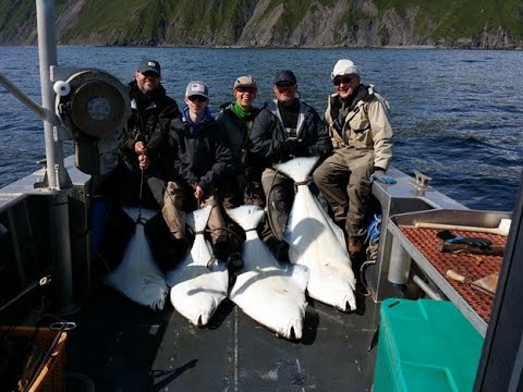 Alaskan Halibut Fishing Kodiak Alaska