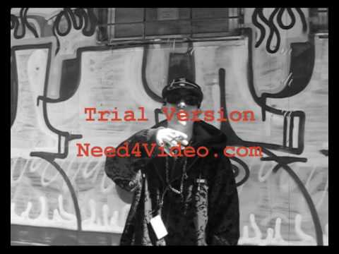 DonZoyde A MINHA VISAO