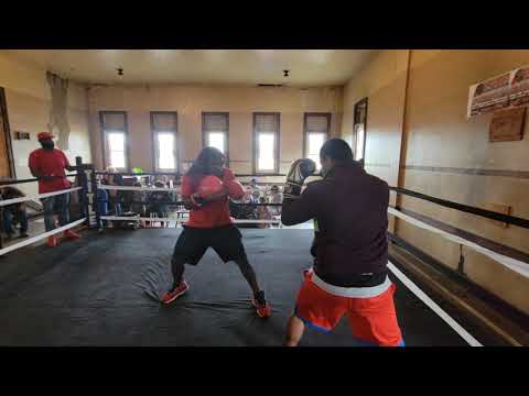 BIG BEEF SHADOW VS. DANGEROUS DOM