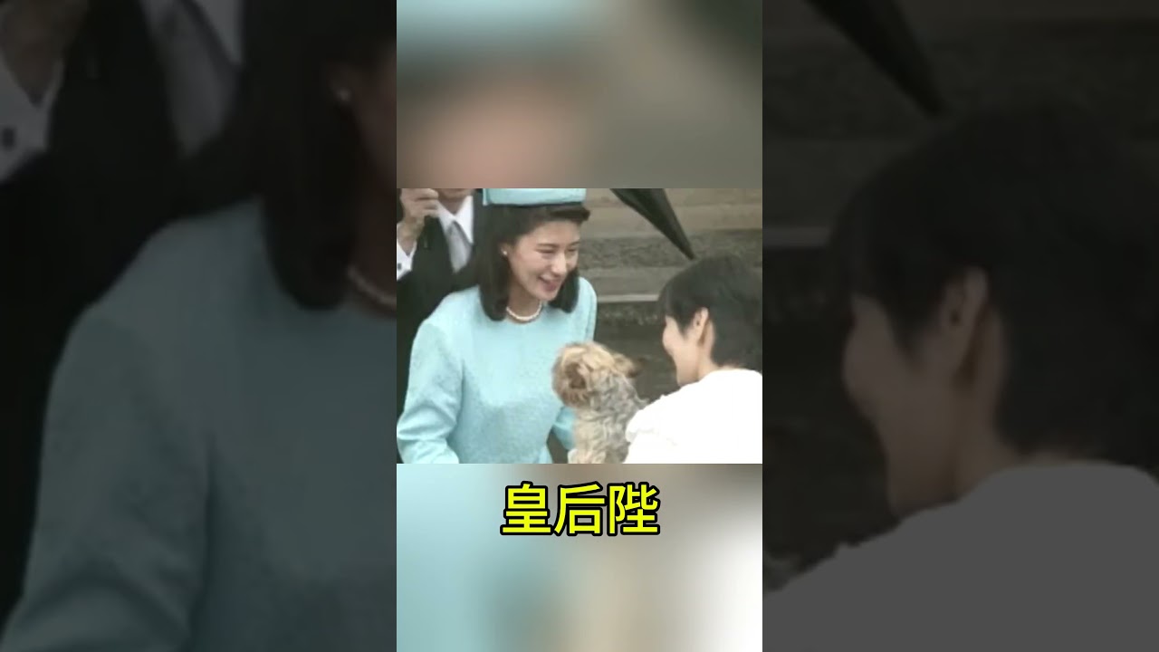【「私たちは四人家族」】皇后陛下を支えた愛犬マリとピッピ…語り継がれる静かな絆 #皇后陛下 #雅子さま #敬宮愛子内親王殿下 #皇室 #皇室エピソード