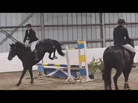 Greet met Tadore - Meeuwen A