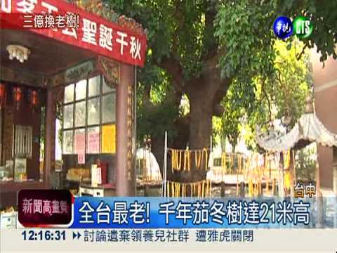 中市救千年老樹 建商退款3億!