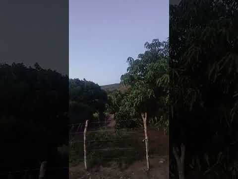 fim de tarde em sercado município de souto Soares Bahia