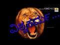 Simhadri Simha Kannada WhatsApp Status Video
