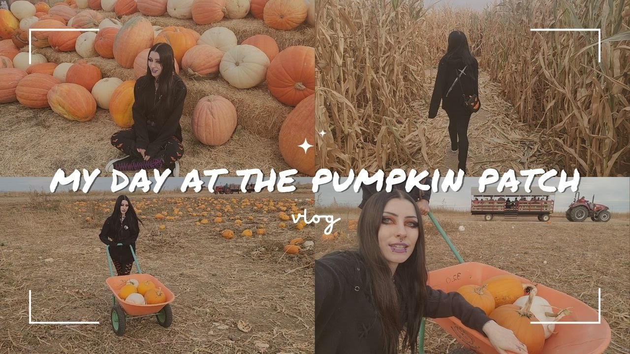 Pumpkin Patch Adventures! 🎃🍂 Cozy Fall Day at the Farmstead Vlog 🌽 Corn Maze & Sunflowers 🌻