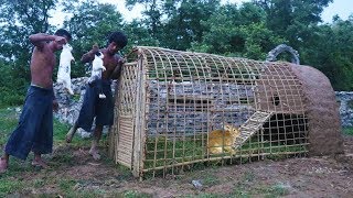 Build Rabbit House Using Bamboo & Mud
