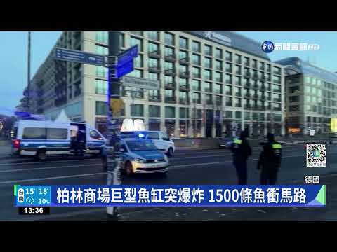 柏林商場巨型魚缸突爆炸 1500條魚衝馬路
