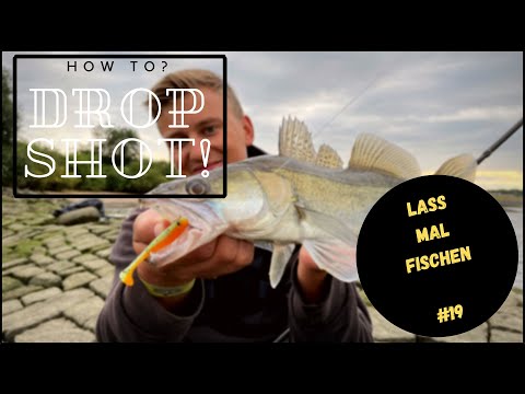 Zanderangeln mit dem Drop-Shot System - How To?