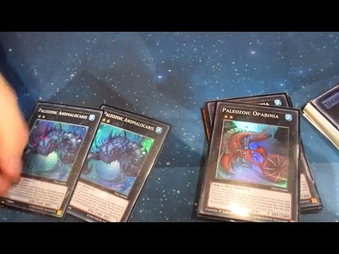 Top 16 - Paleozoic Frogs - YCS Bochum 2016 - Rafael Neven