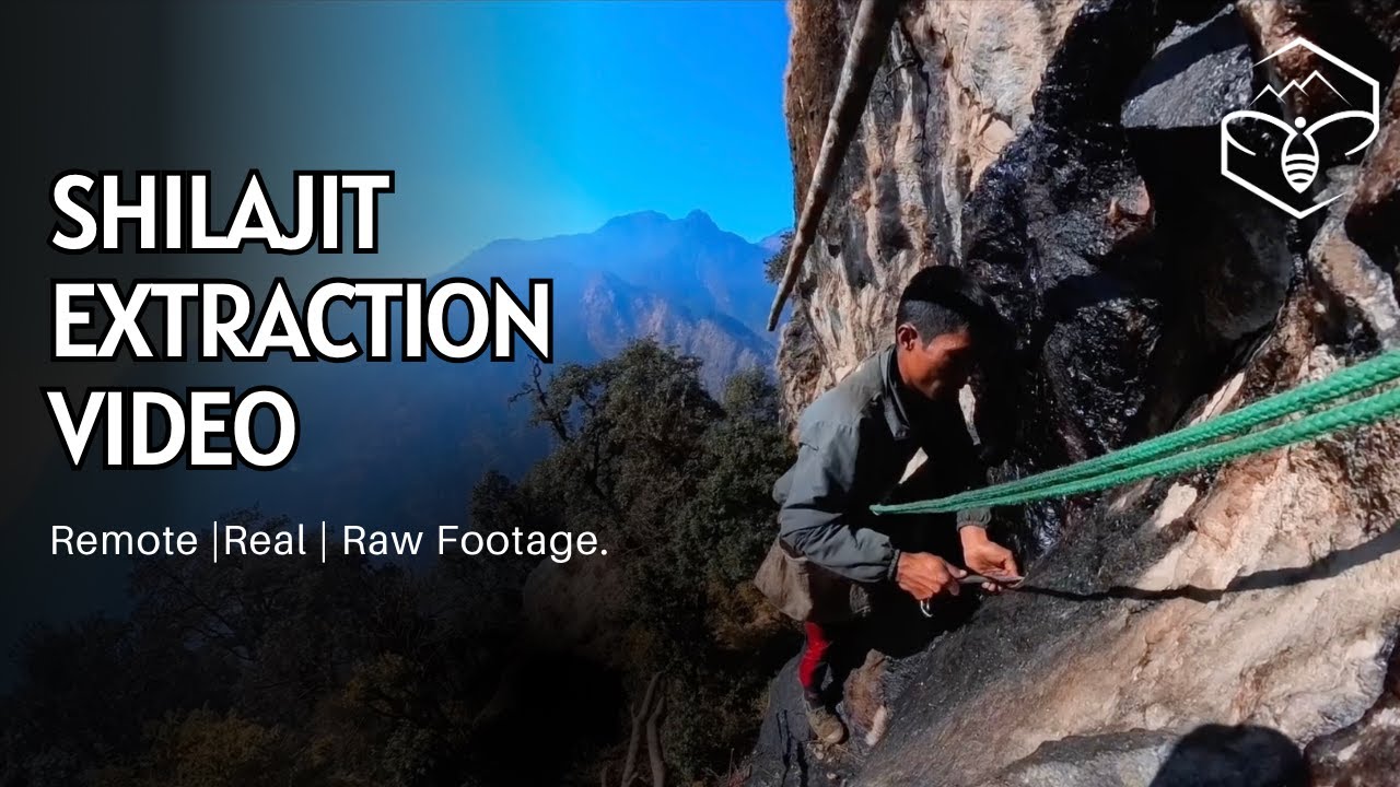 The Power of Pure Shilajit