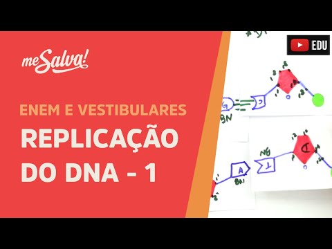 Me Salva! GEN02 - Genética -  Replicação do DNA - Parte 1