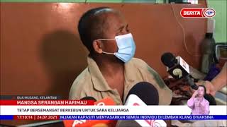 Download lagu 24 JULAI 2021 BERITA WILAYAH – MANGSA SERANGAN HARIMAU mp3