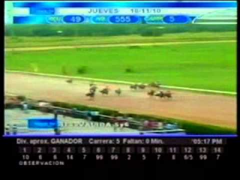 Resumen Jueves, 18 de Noviembre de 2010 - Valencia