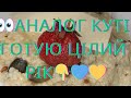 Super Healthy Millet Porridge With Seeds And Grains Quick And Nutritious Recipe Simple Steps