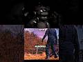 Five Nights At Freddy S Is Nostalgia And Our Childhood Thank You Scott Fnaf Shorts