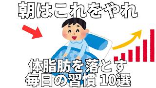 朝にやると体脂肪が落ちやすくなる習慣10選