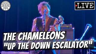 The Chameleons "Up the Down Escalator" LIVE | Crystal Ballroom Somerville, MA | April 14, 2026