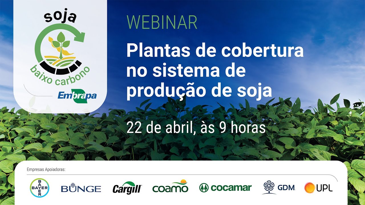Plantas de cobertura no sistema de produção de soja