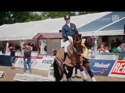 Hannoveraner Reitpferde-Championat 2019 - Vierjährige Hengste: Frizzantino