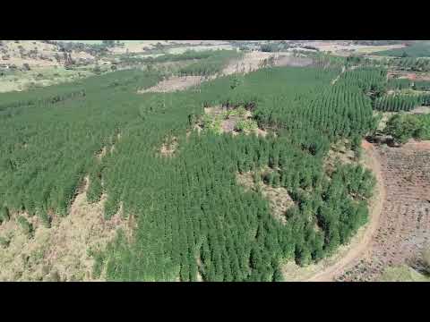 Conheça o Viveiro Ambiental – Unidade de Inhumas/GO 🌱 | Imagens Aéreas