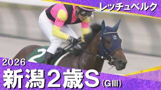 2026年新潟２歳ステークス(ＧⅢ) レッチュベルク【カンテレ公式】