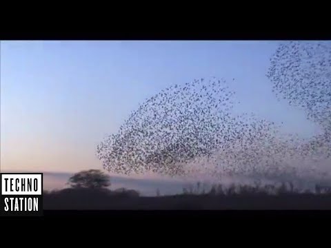 Matteo Bruscagin & Visnadi - Drps Classic (Guy J Remix) [Video]