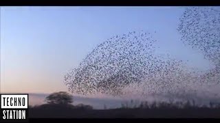 Matteo Bruscagin &amp; Visnadi - Drps Classic (Guy J Remix) [Video]