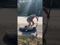 A Florida man helped wrangle up an alligator from along an interstate, all while completely barefoot