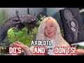 The DO’S AND DON’TS of AXOLOTLS