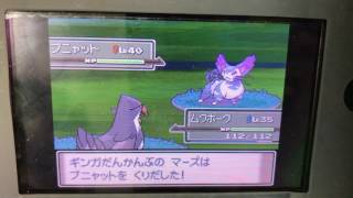ポケモンプラチナ11シンジ湖とエムリット！