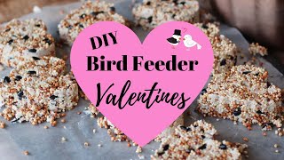 DIY Bird Feeder Valentines | Eco-Friendly Valentine's Idea