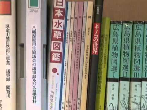 豊かな自然を巡る