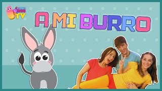 ♫♪ A MI BURRO, A MI BURRO ♫♪ canción completa con baile