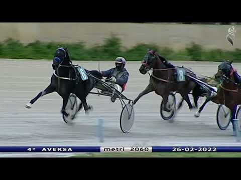 Aversa trotto 26 Febbraio 2022 - 4° Corsa
