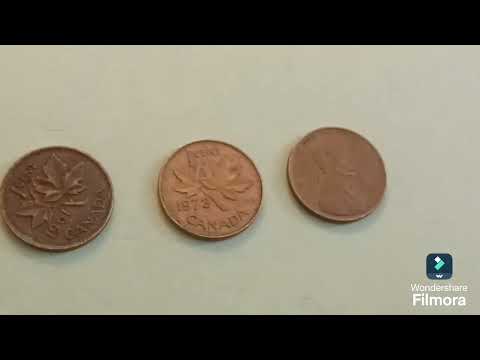 Lillian vs Daddy Penny Box Battle!