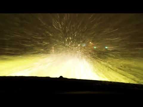 DUO Dual Colour Fog Light Bulbs