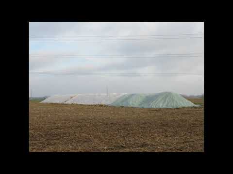 PEIZEGEM: KERSTWANDELING 2020